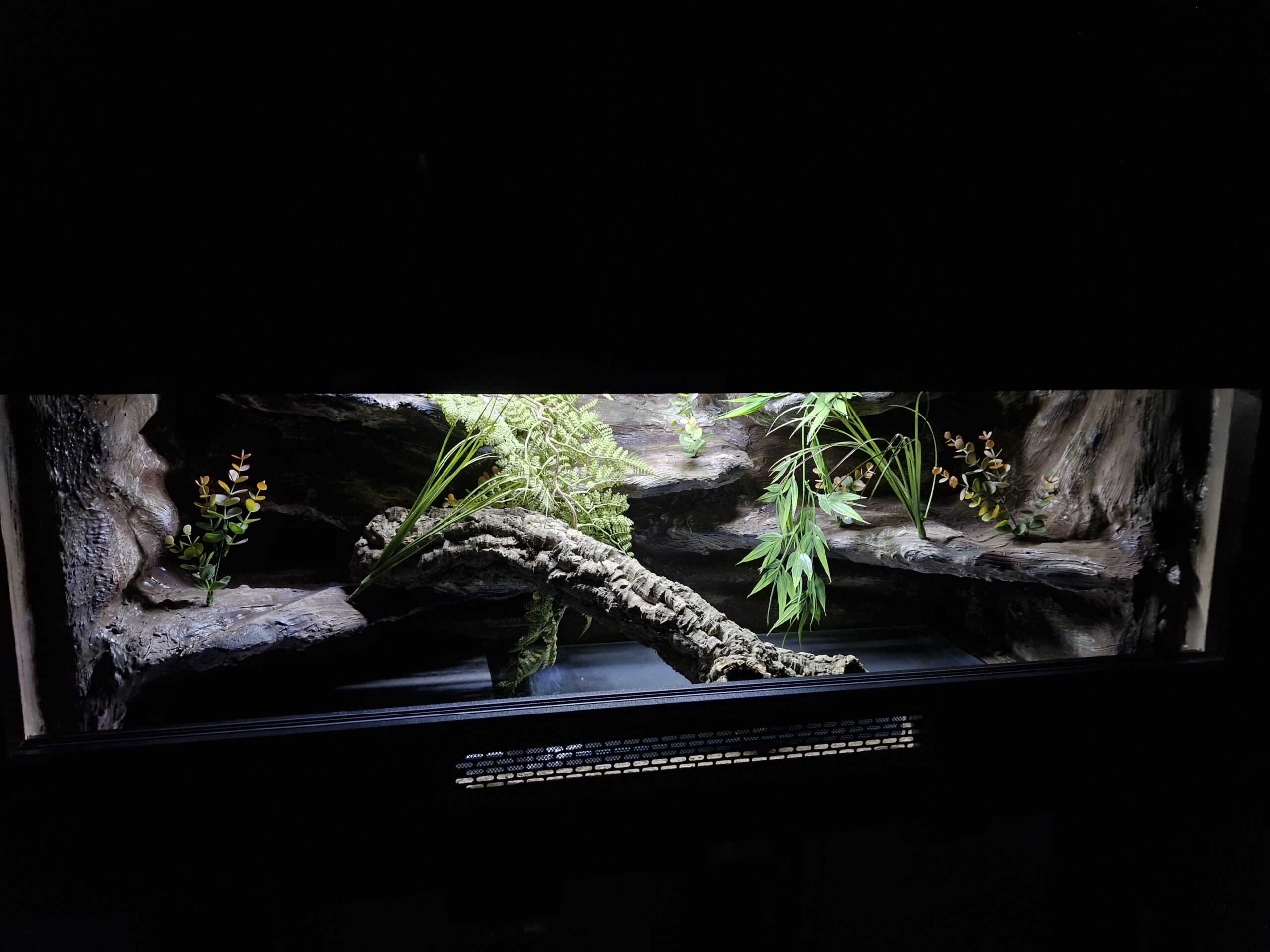 Terrarium 120x50x50 Czarne Mata Grzewcza Zestaw WĄŻ PERSONALIZACJA - obrazek 6