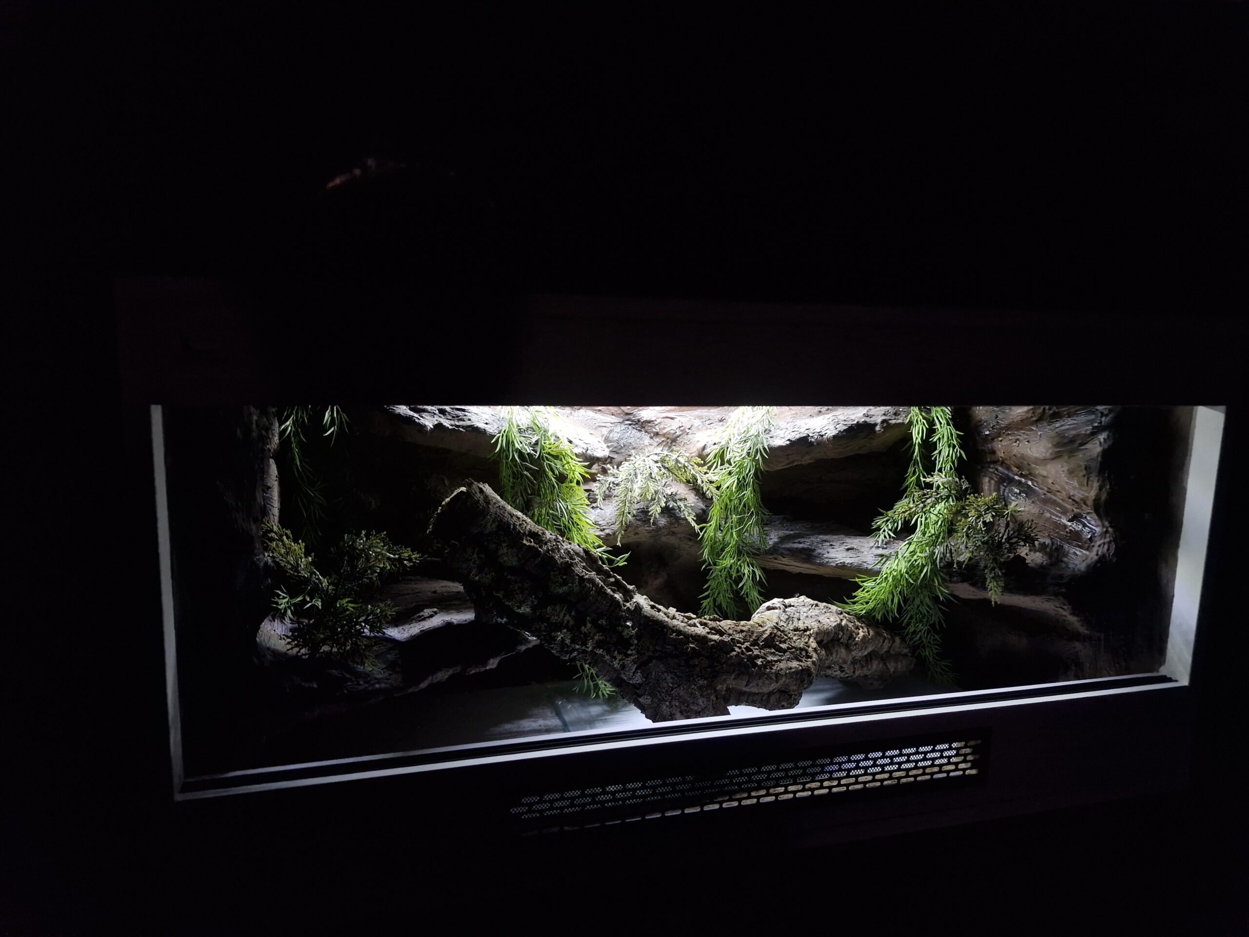 Terrarium 100x50x50 Oprawy e27 Outlet AGAMA GEKON WĄŻ - obrazek 6