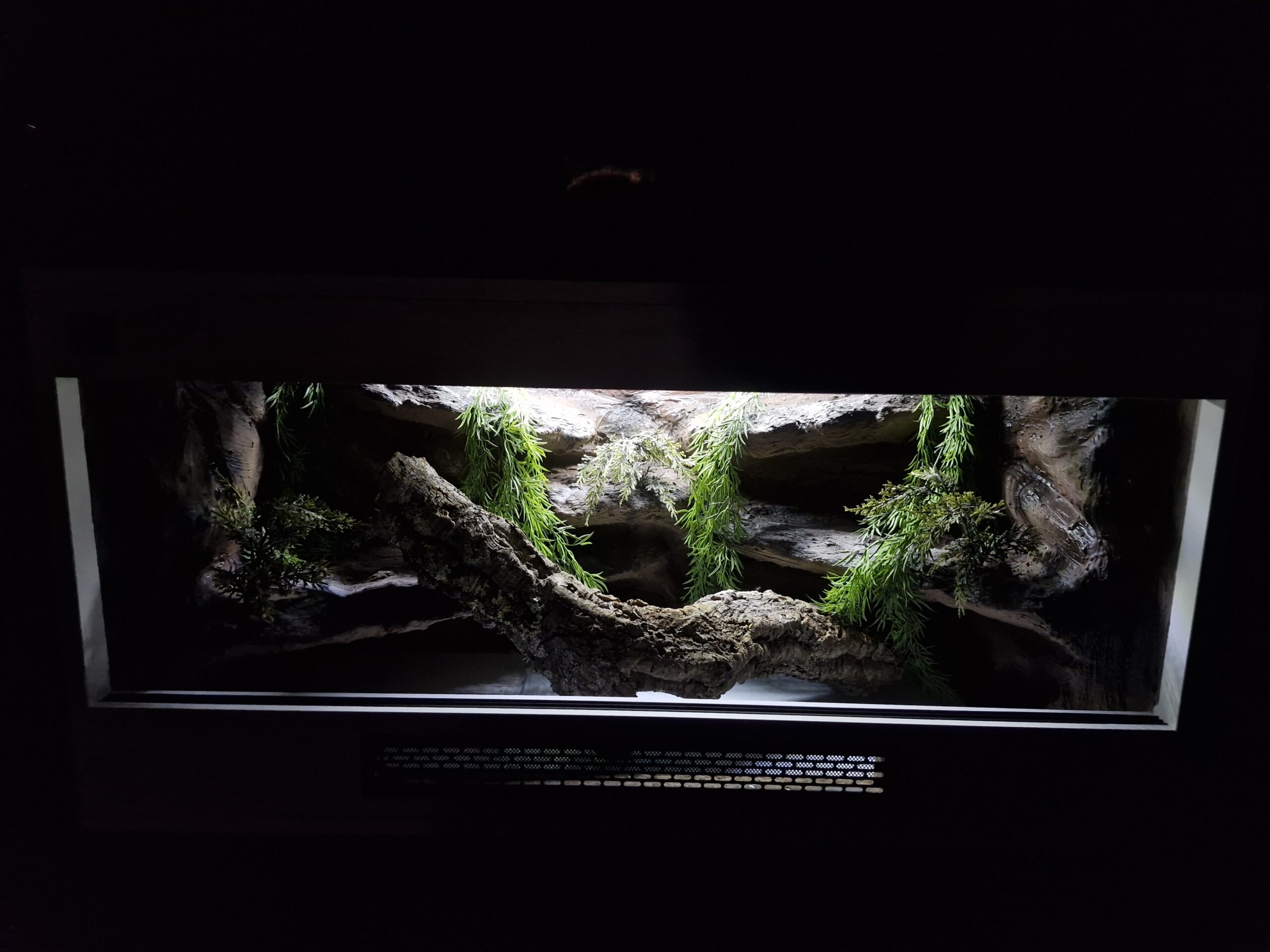 Terrarium 100x50x50 Oprawy e27 Outlet AGAMA GEKON WĄŻ - obrazek 7