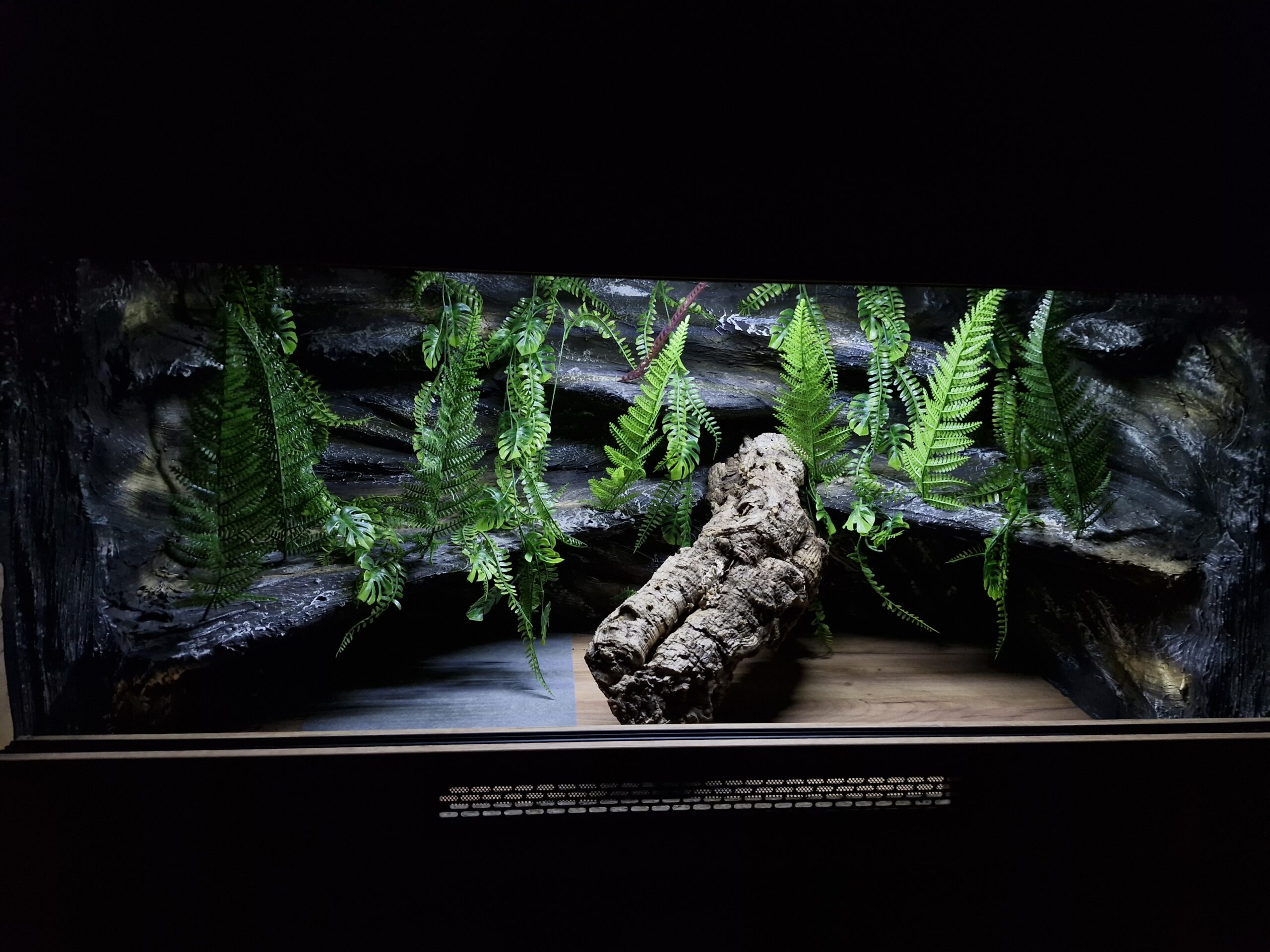 Terrarium 120x60x60 Mata Grzewcza Płyta Meblowa - obrazek 6