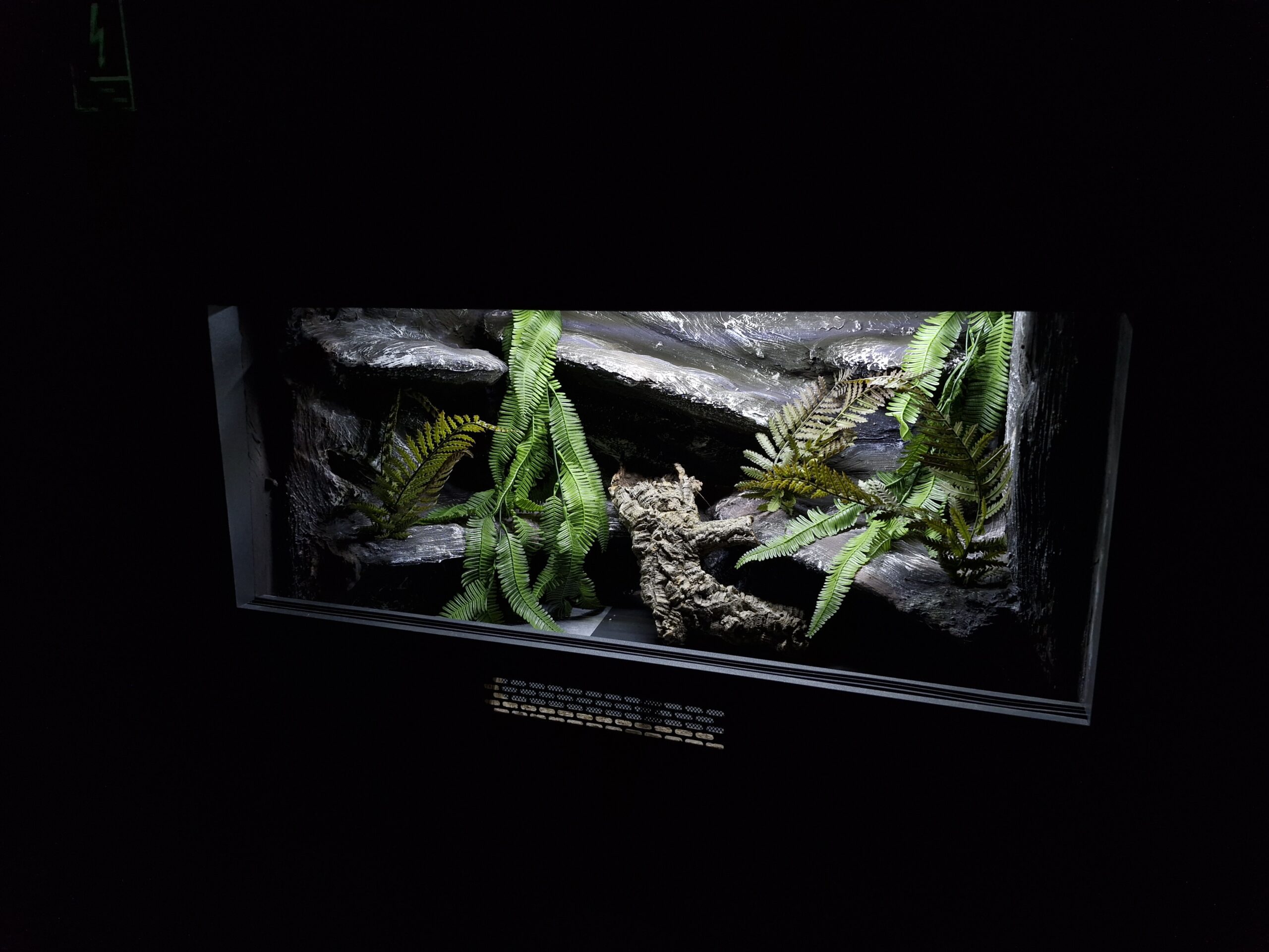 Terrarium 80x50x50 Płyta Meblowa Mata Grzewcza PERSONALIZACJA - obrazek 4