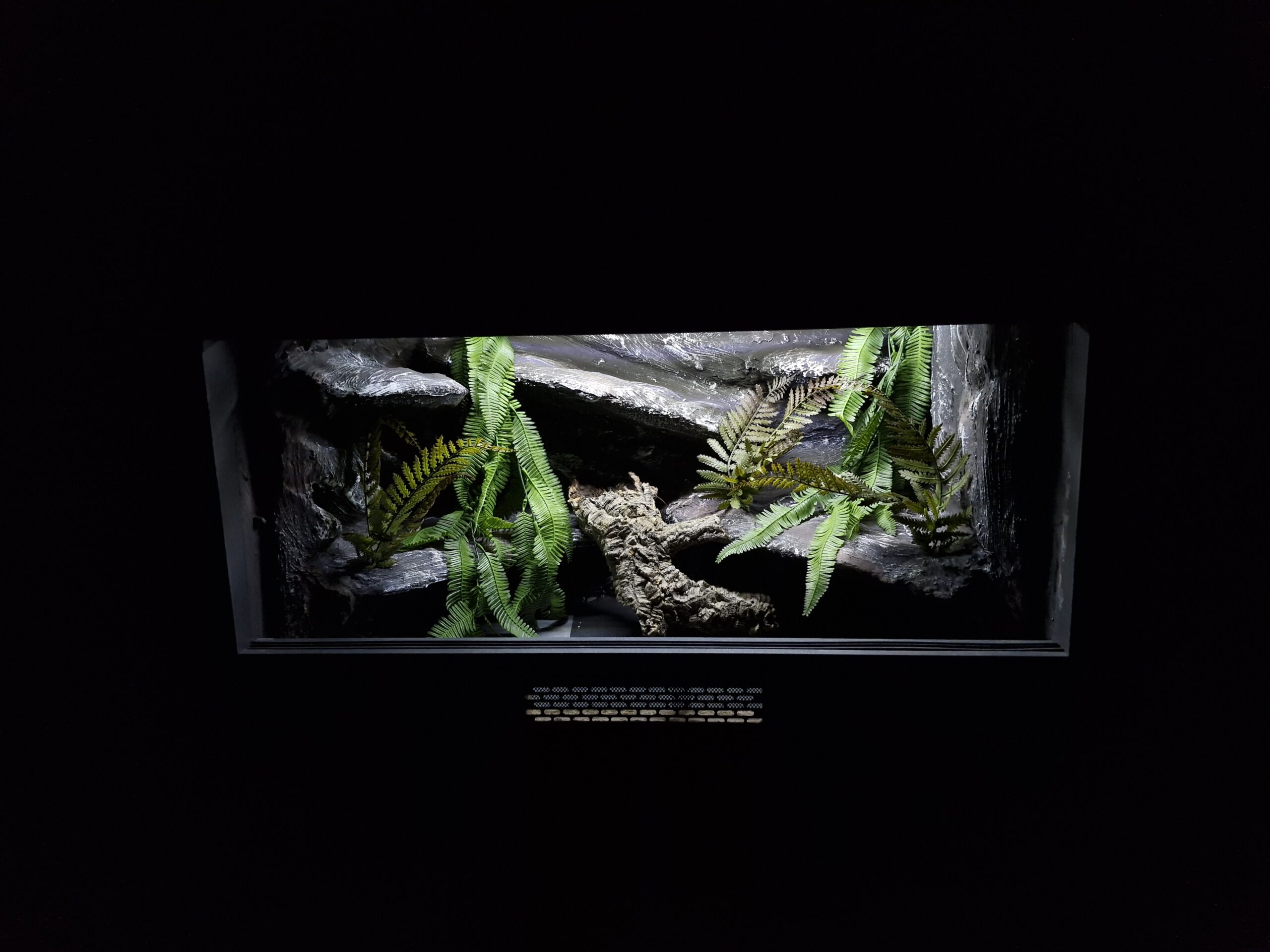 Terrarium 80x50x50 Płyta Meblowa Mata Grzewcza PERSONALIZACJA - obrazek 5