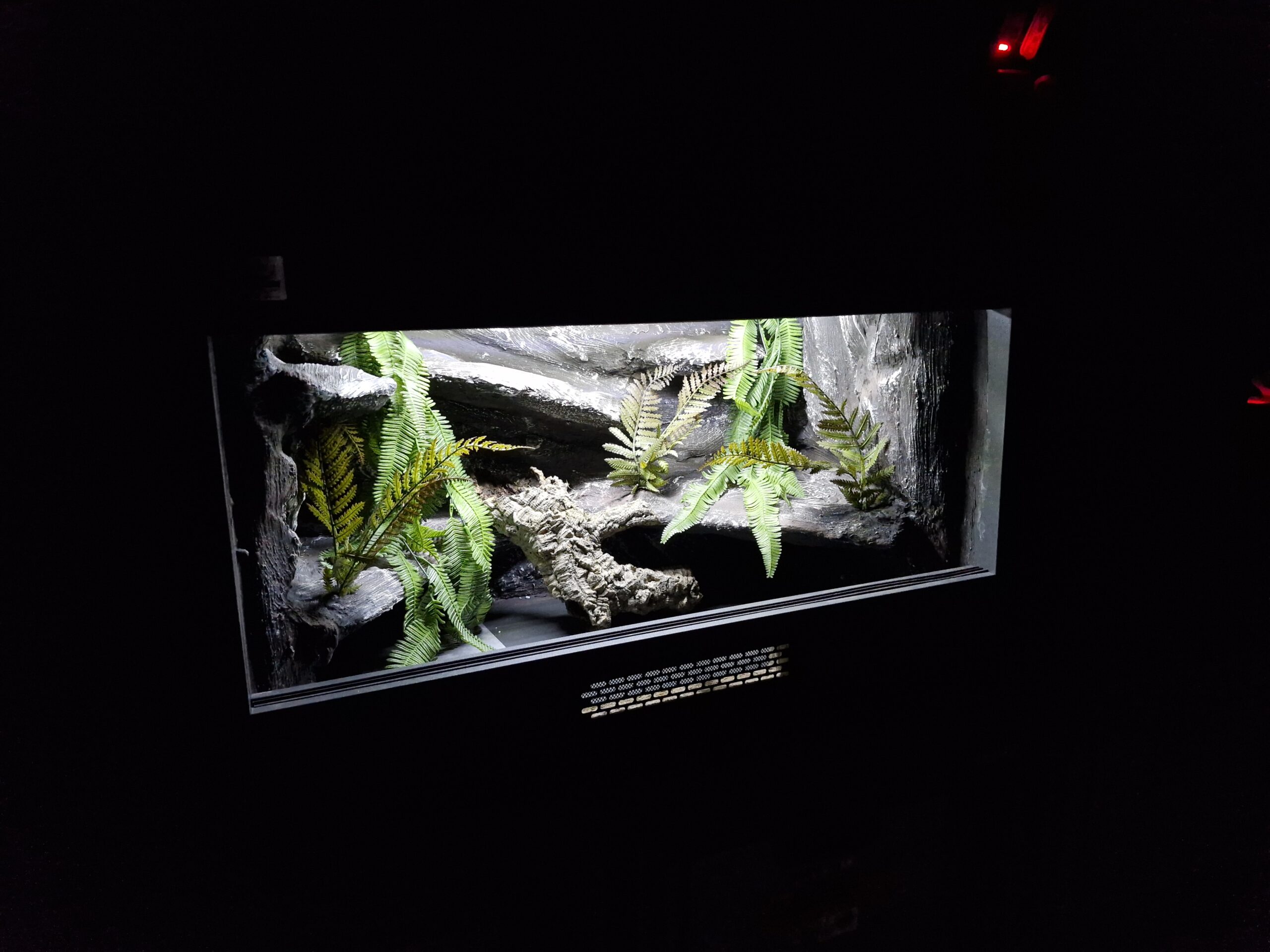 Terrarium 80x50x50 Płyta Meblowa Mata Grzewcza PERSONALIZACJA - obrazek 6