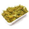 Repti-Zoo Chile's Sphagnum moss - mech torowiec 4,5l - obrazek 2