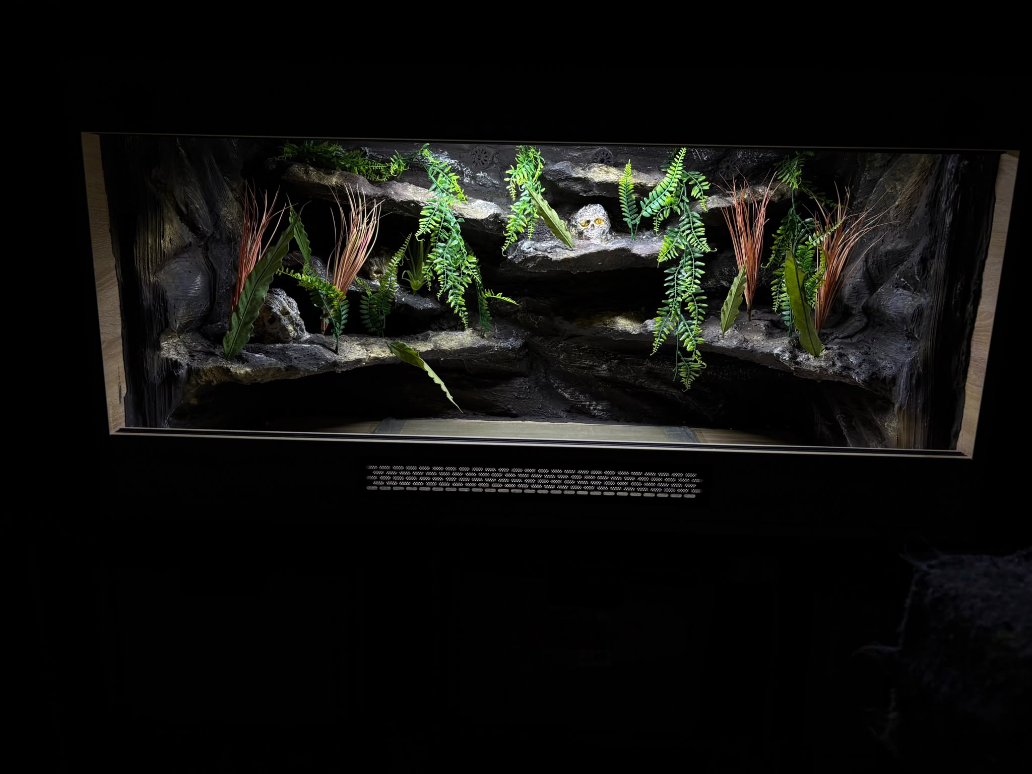 Terrarium 120x60x60 Termometr/Higrometr 2xE27 Wystrój - Image 3