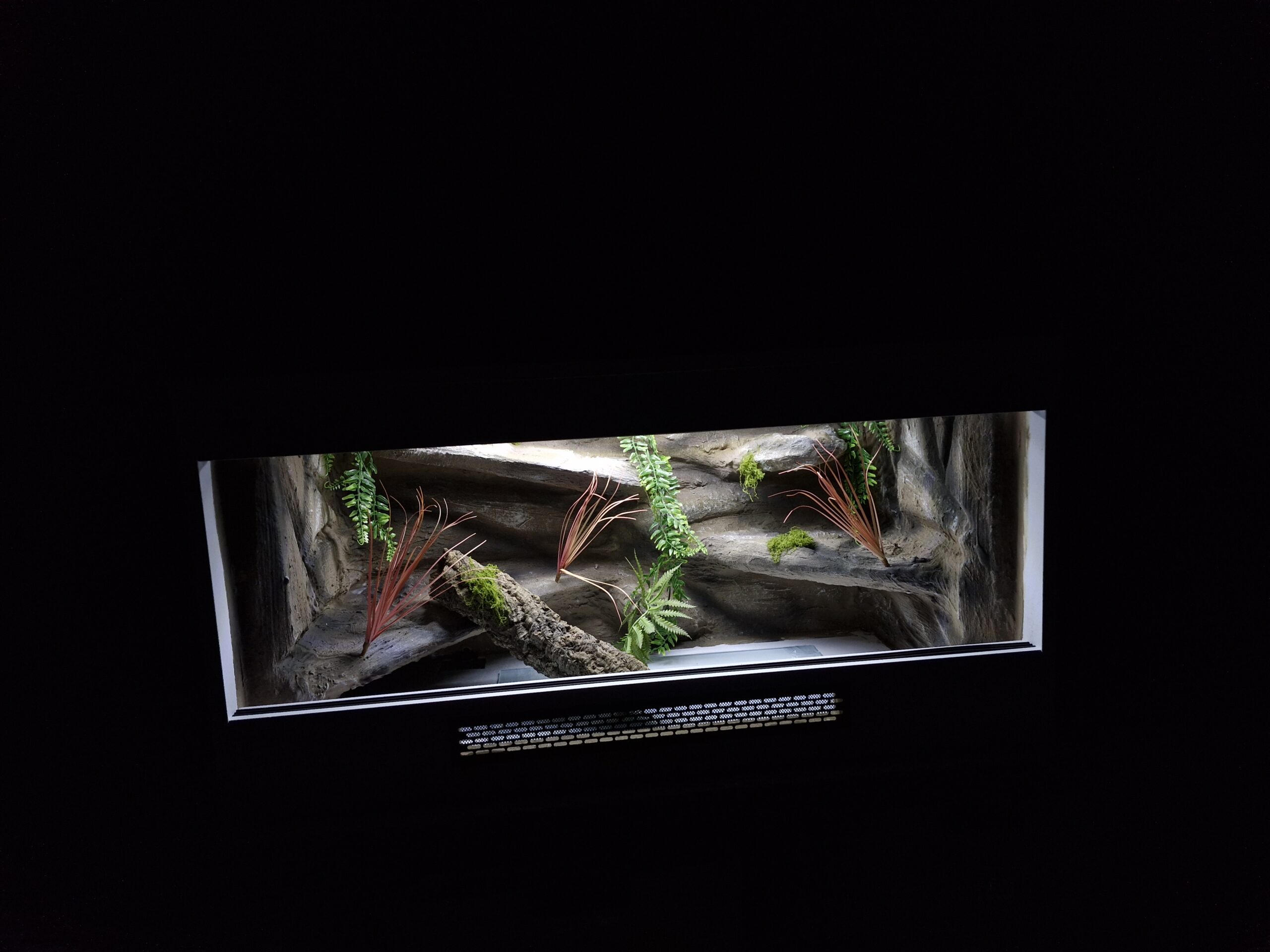 Terrarium 100x50x50 Agama/Wąż Mata Grzewcza LED Płyta Meblowa - obrazek 4