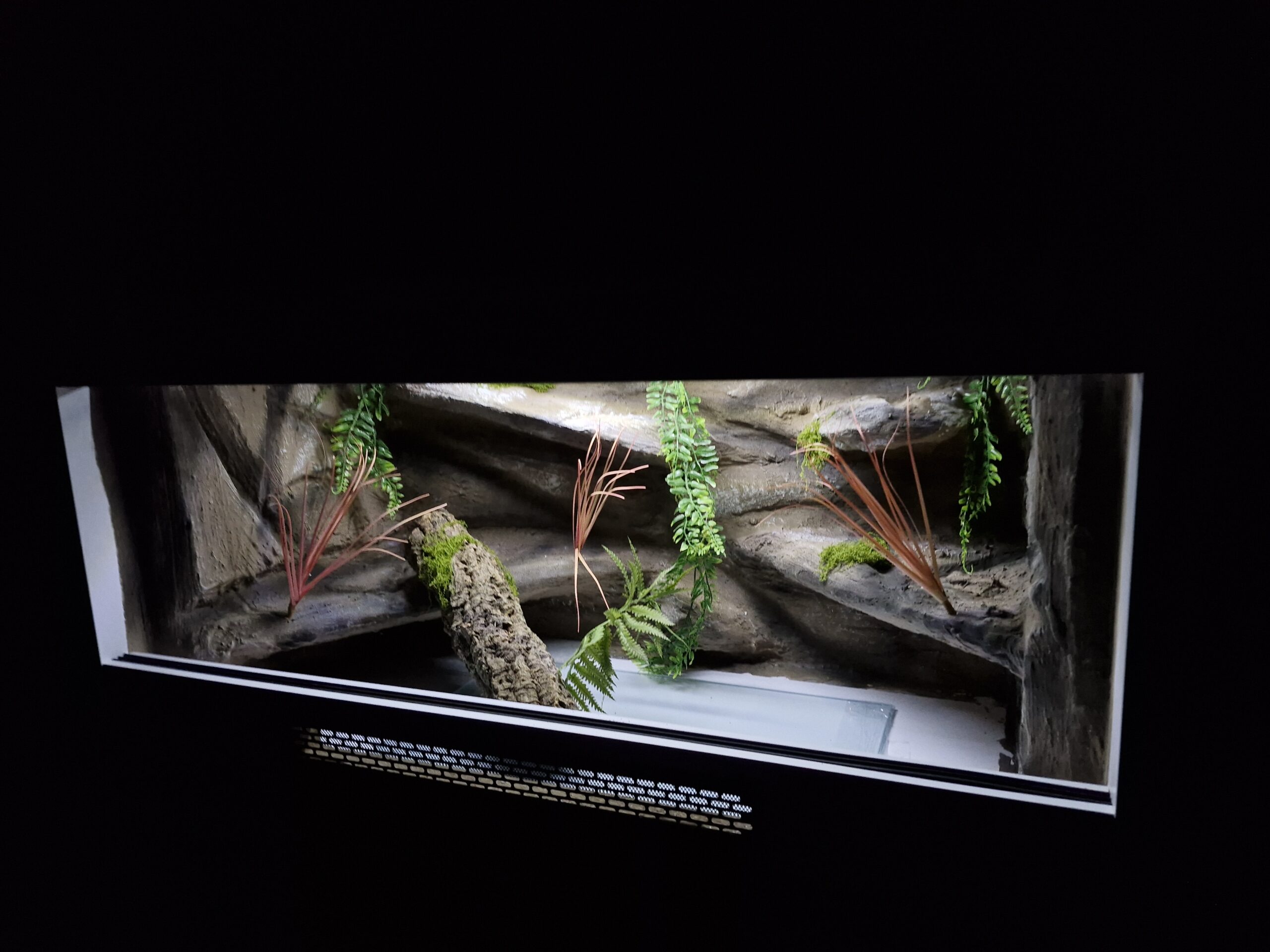 Terrarium 100x50x50 Agama/Wąż Mata Grzewcza LED Płyta Meblowa - obrazek 5
