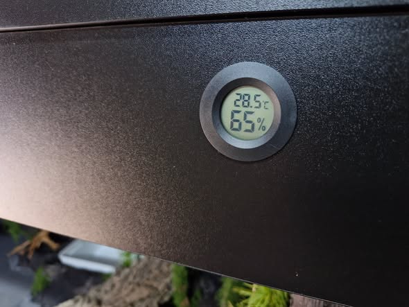Higrometr wbudowany we front terrarium, 28,5°C i 65% wilgotności
