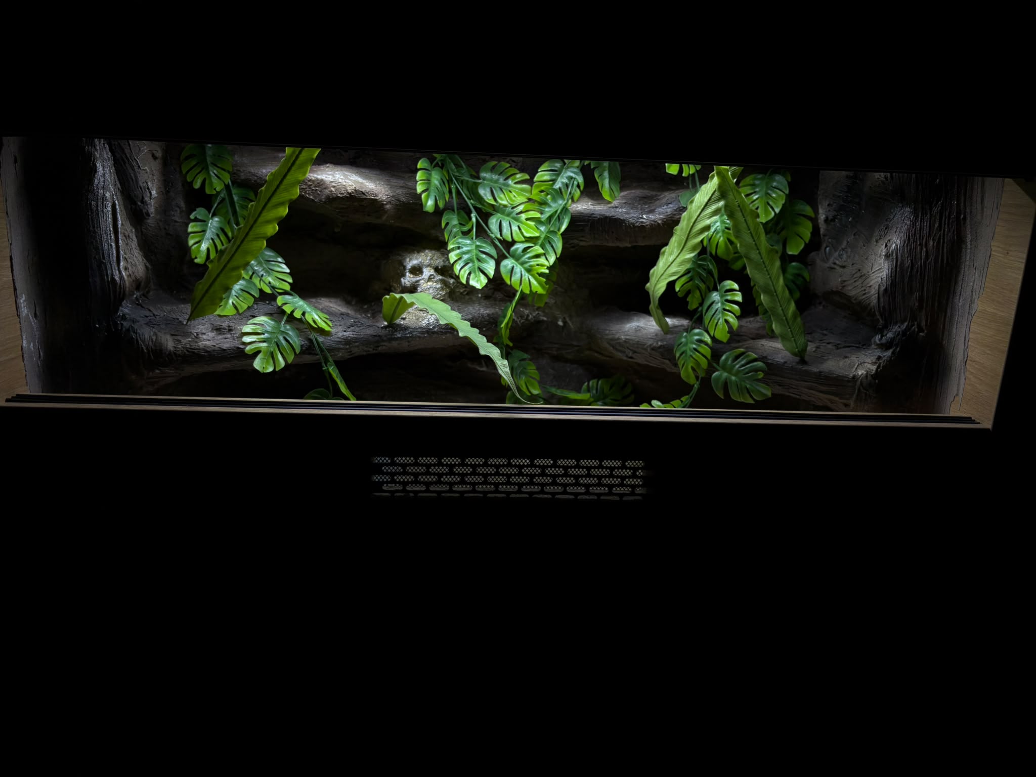 Terrarium 80x40x40 Mata Grzewcza/Led Płyta Meblowa Wystrój Czaszka - obrazek 3