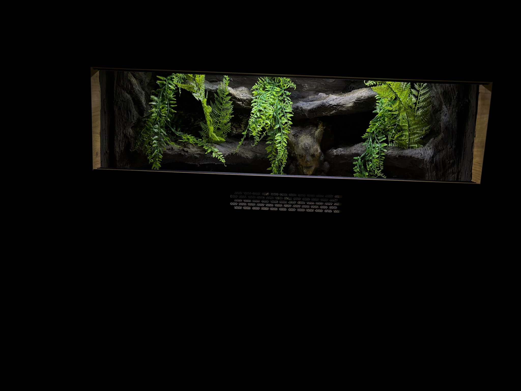 Terrarium 80x40x40 Mata Grzewcza/Led Płyta Meblowa Wystrój Czaszka - obrazek 4