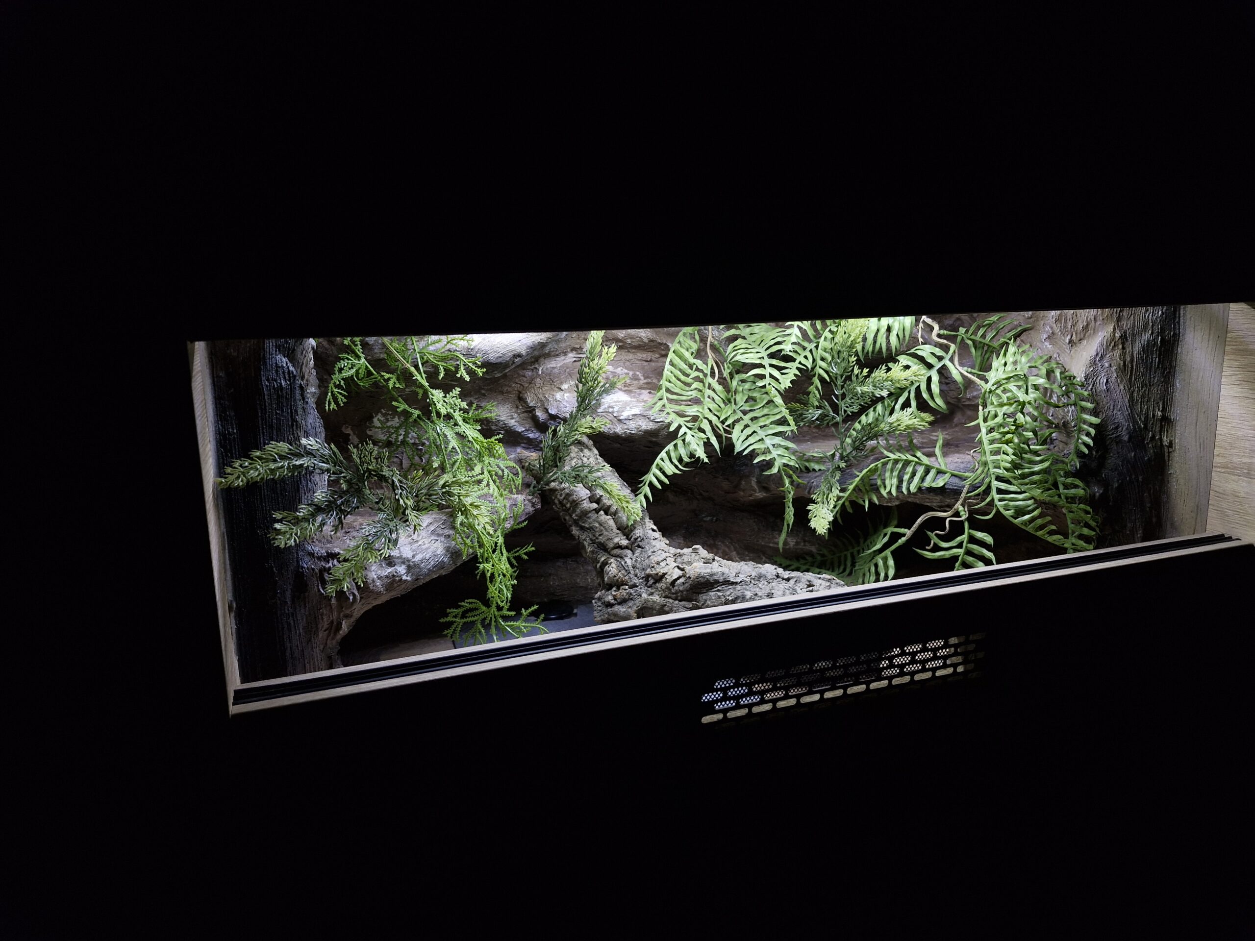 Terrarium 80x40x40 Mata Grzewcza/Led Płyta Meblowa Wystrój - obrazek 2