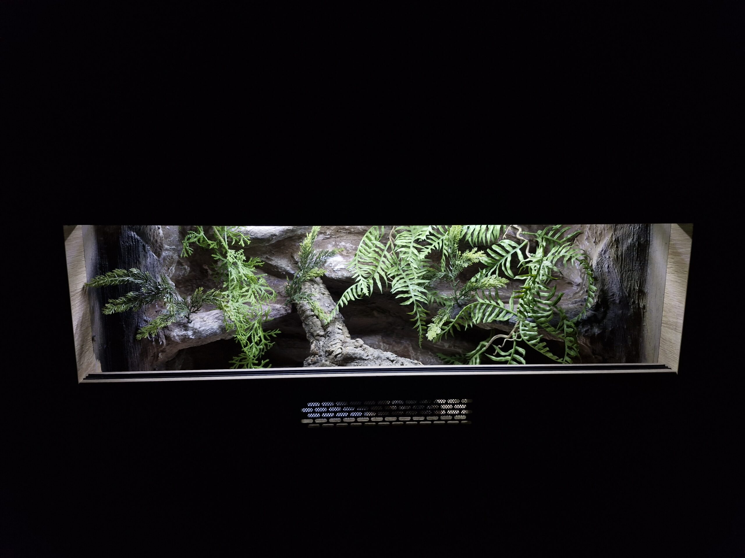 Terrarium 80x40x40 Mata Grzewcza/Led Płyta Meblowa Wystrój - obrazek 3
