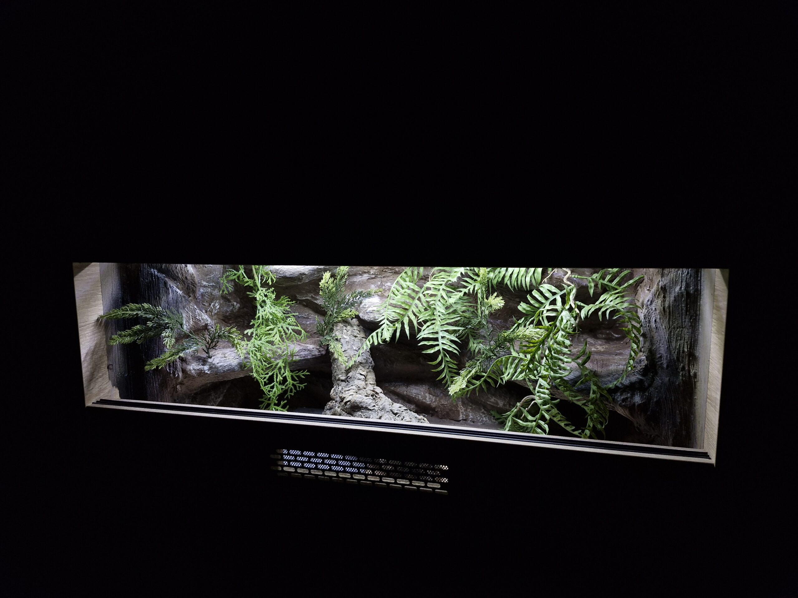 Terrarium 80x40x40 Mata Grzewcza/Led Płyta Meblowa Wystrój - obrazek 4