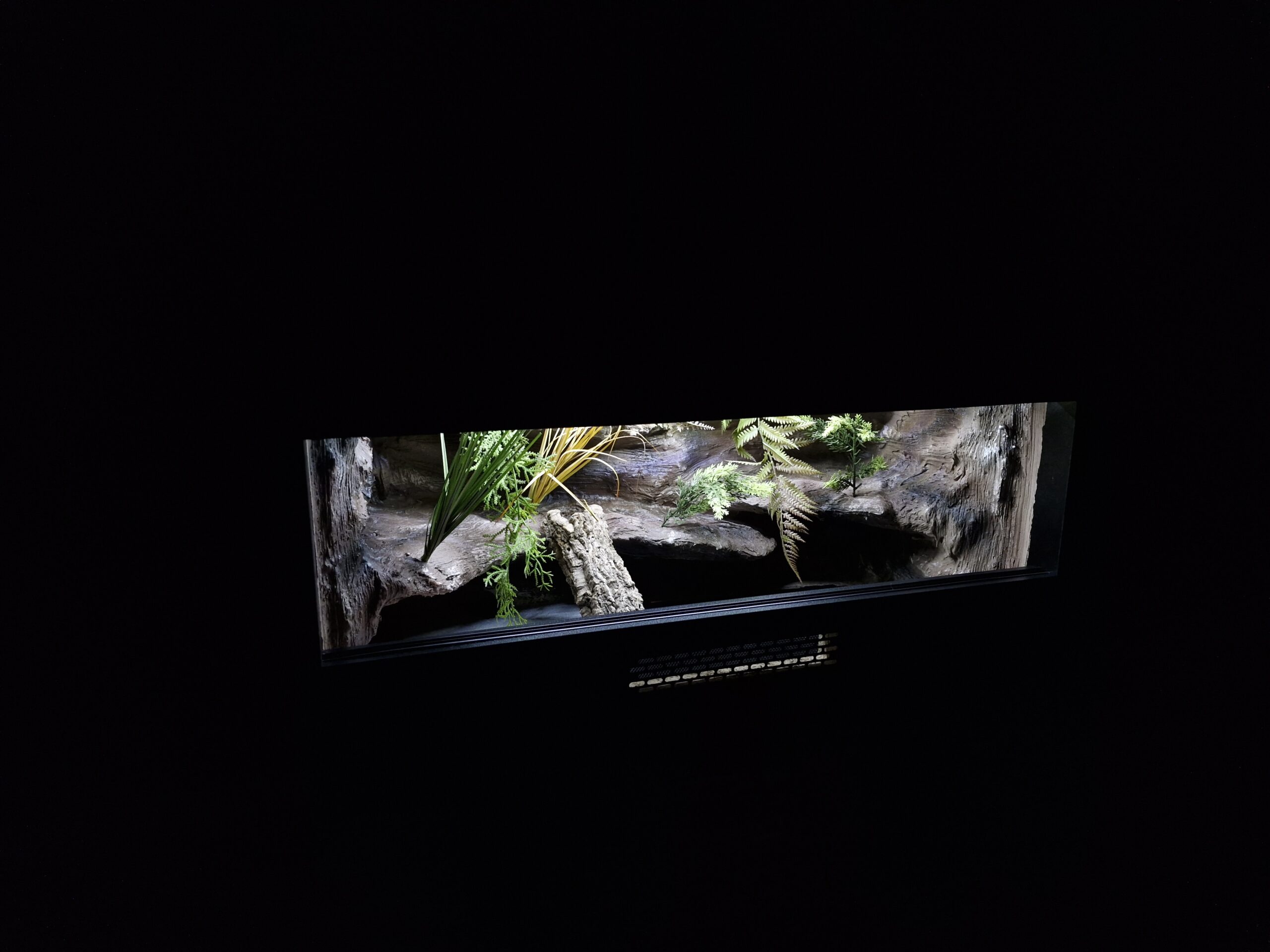 Terrarium 80x40x40 Mata Grzewcza/Led Płyta Meblowa Wystrój - obrazek 2