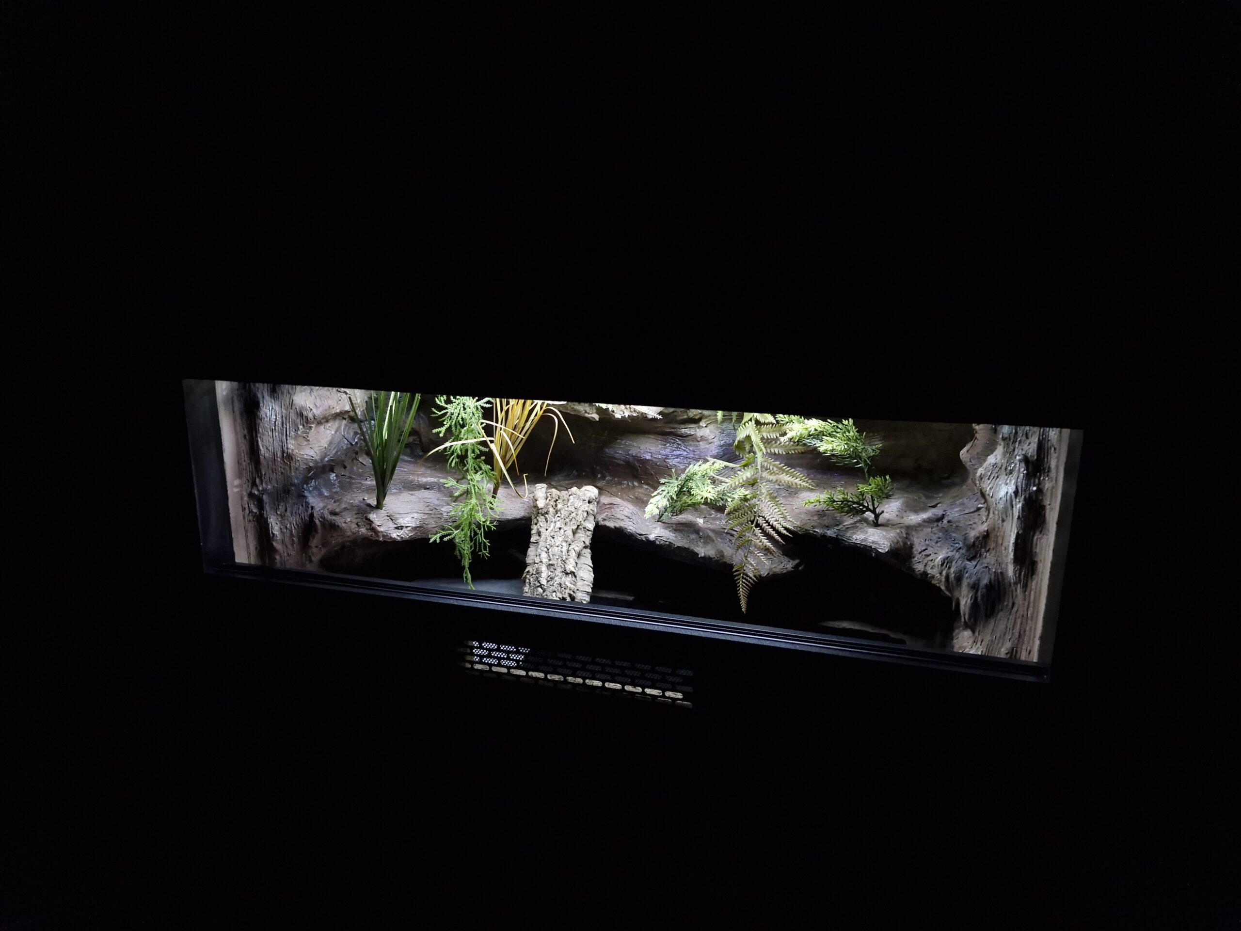 Terrarium 80x40x40 Mata Grzewcza/Led Płyta Meblowa Wystrój - obrazek 4