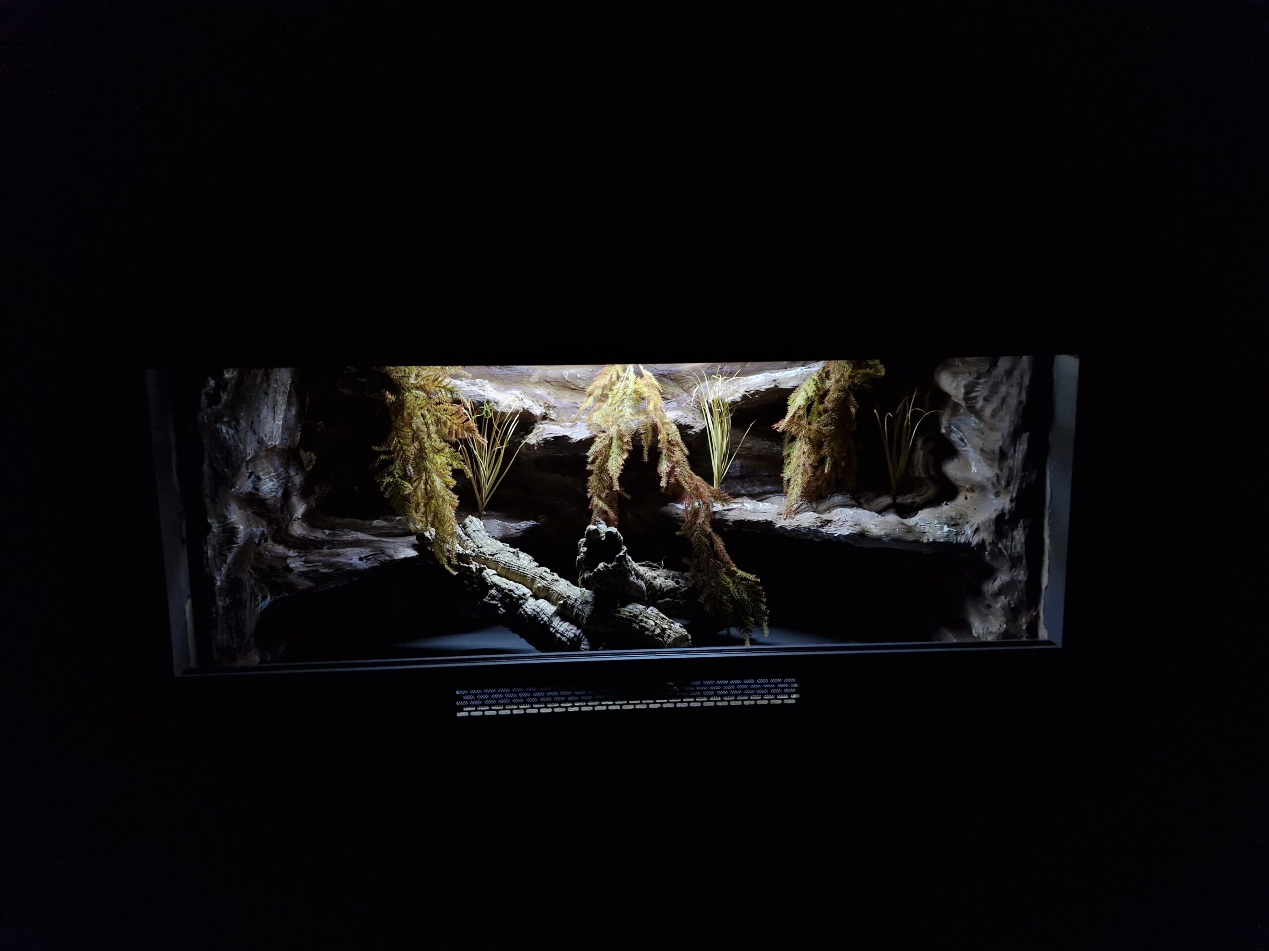 Terrarium 120x60x60 E27 Agama Brodata Płyta Meblowa - obrazek 6