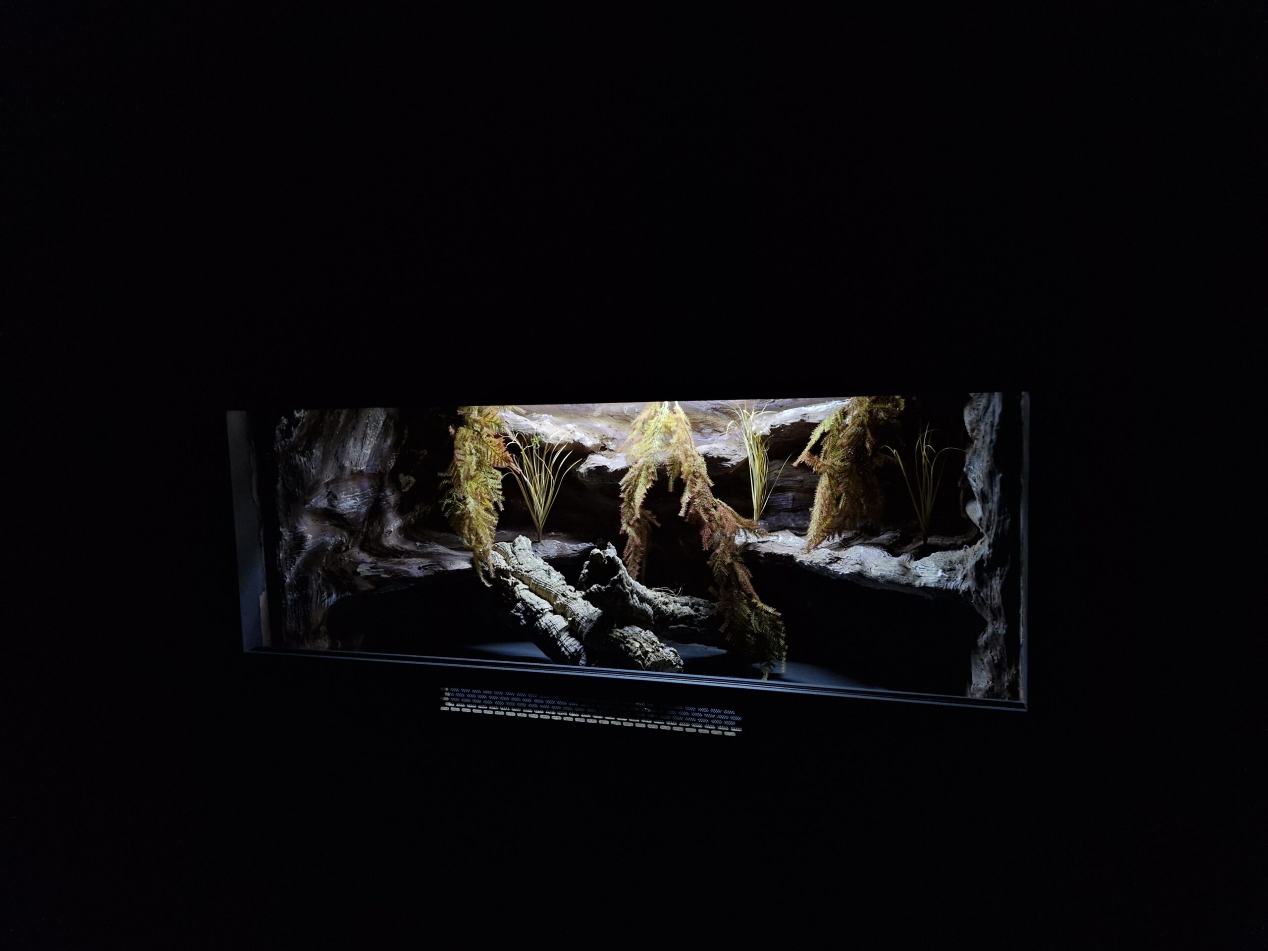 Terrarium 120x60x60 E27 Agama Brodata Płyta Meblowa - obrazek 7